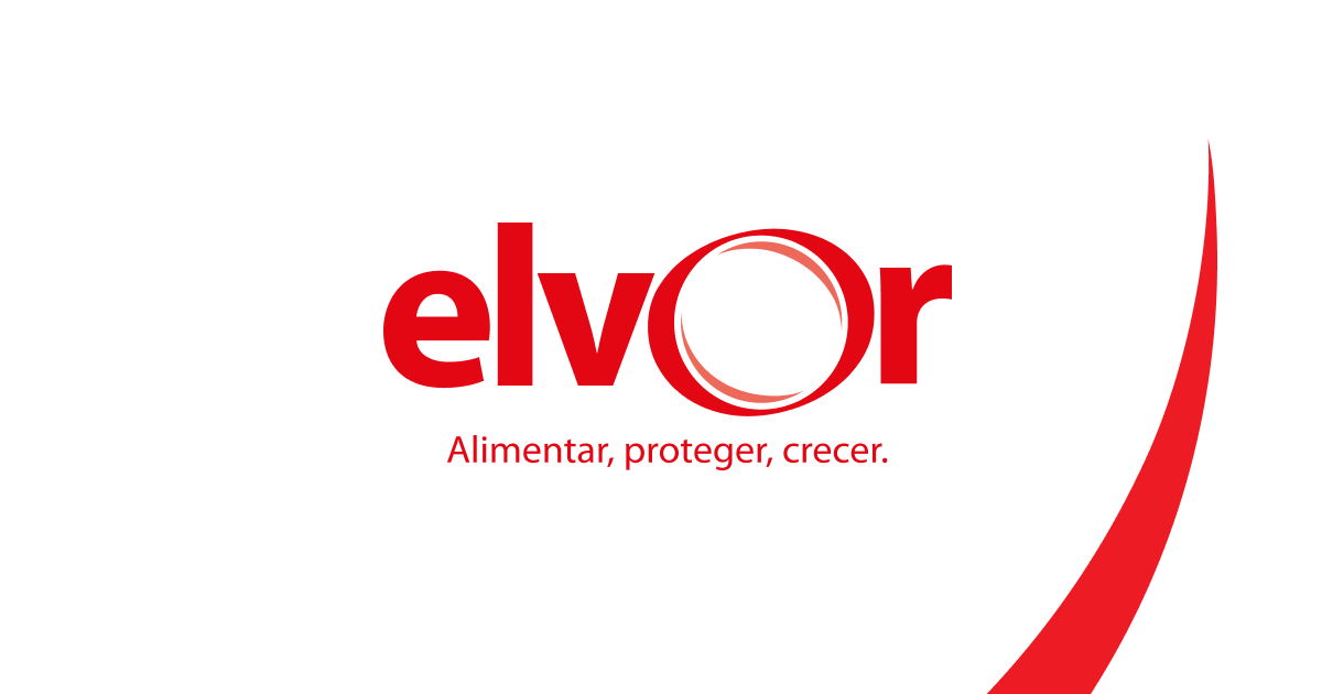 Ferna elvor